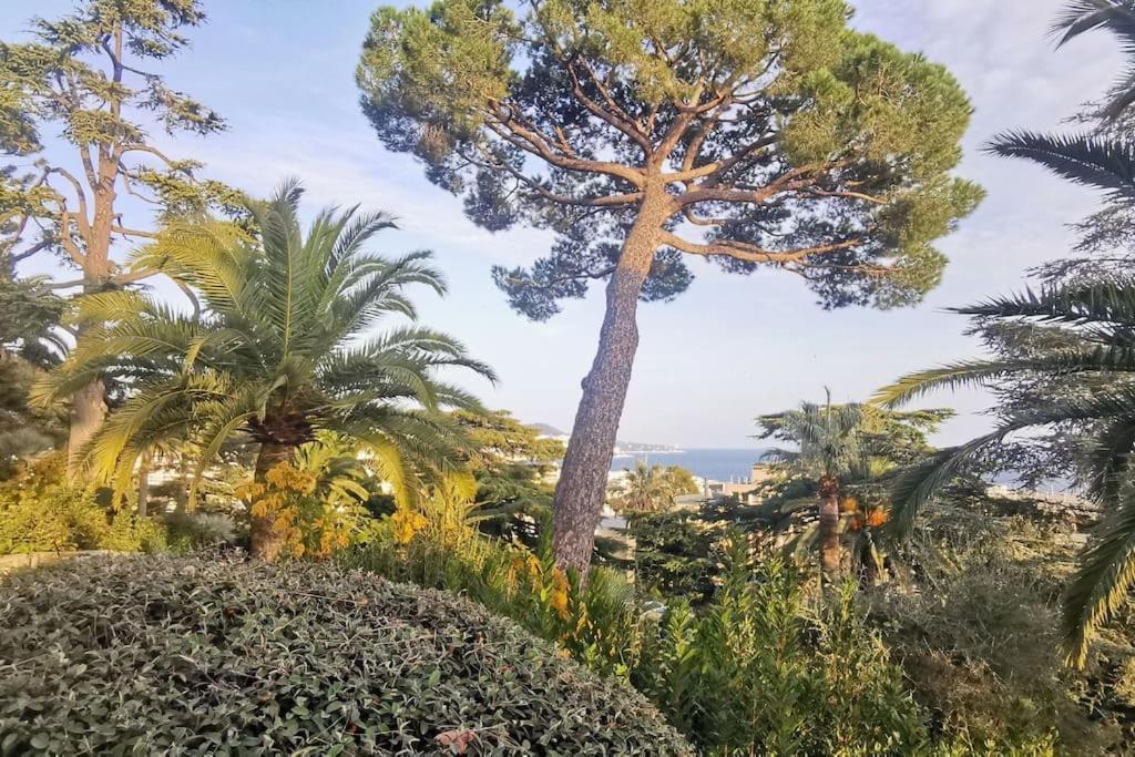 Appartement Nice Centre Vue Mer Avec Piscine Pour Famille, Couple D'Amis Pas De Groupes De Jeunes Autorises 外观 照片